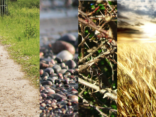 Parable of the Sower